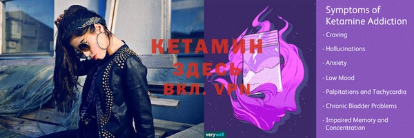 соль ск Пересвет