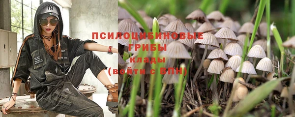 соль ск Пересвет