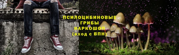 бошки Пестово