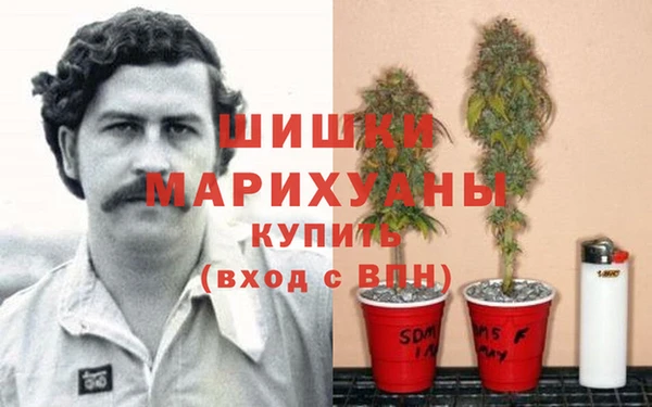mdpv Переславль-Залесский