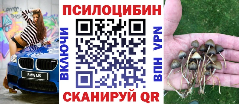 цена   mega tor  Псилоцибиновые грибы мицелий  Правдинск 